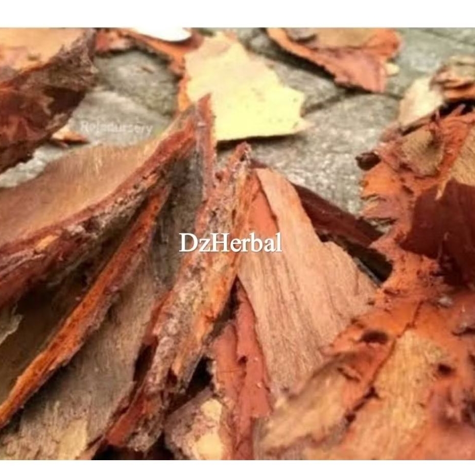 

Kulit pohon mahoni segar / kulit mahoni fresh 500 gram