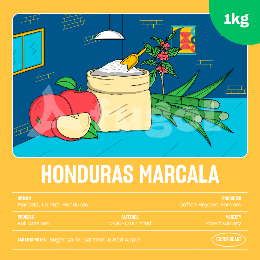 

Kopi Arabika HONDURAS MARCALA (1 KG) Single Origin Specialty Coffee Arabica Beans