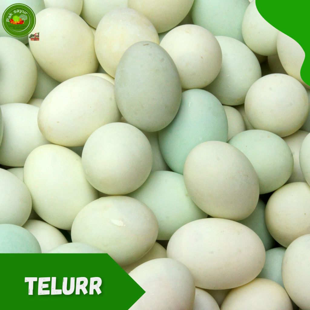 

Telur Bebek Khas Banyuwangi , Telur Bebek - 1 pcs , Telur Bebek enak, duck eggs