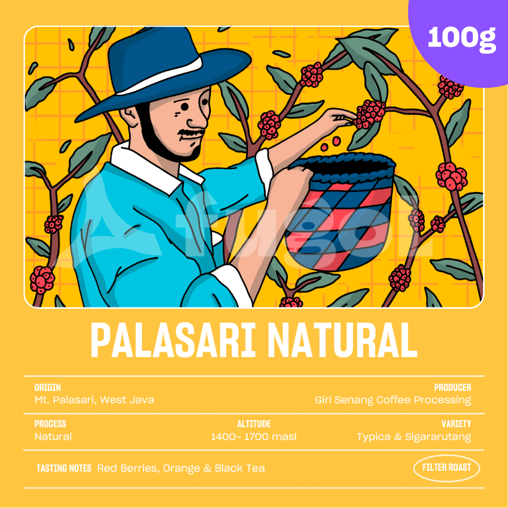 

Kopi Arabika Jawa Barat PALASARI NATURAL (100 gr) Single Origin Specialty Coffee Arabica Beans