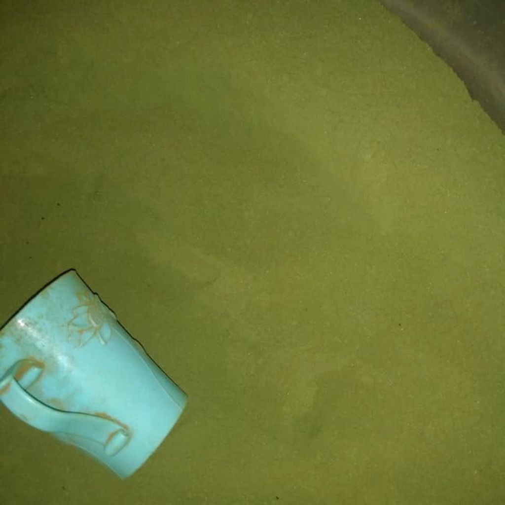 

Broccoli vegetable powder food grade / bubuk brokoli sayuran segar