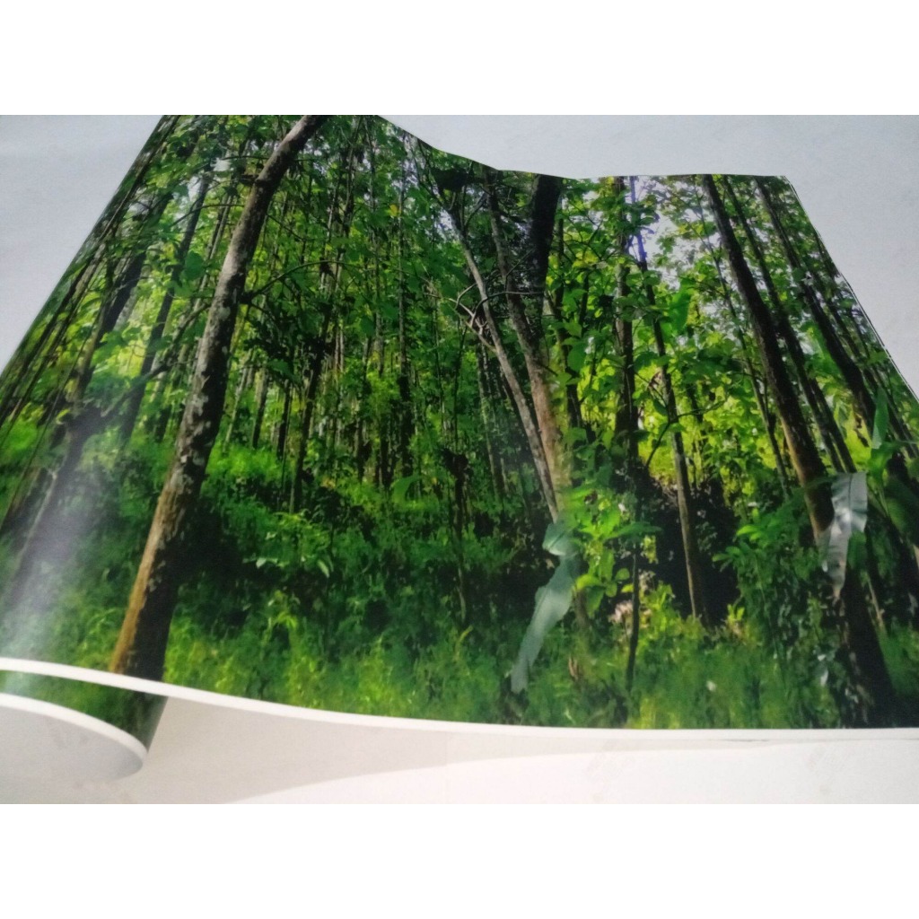 

Stiker Camo Natural Jati 50x50cm