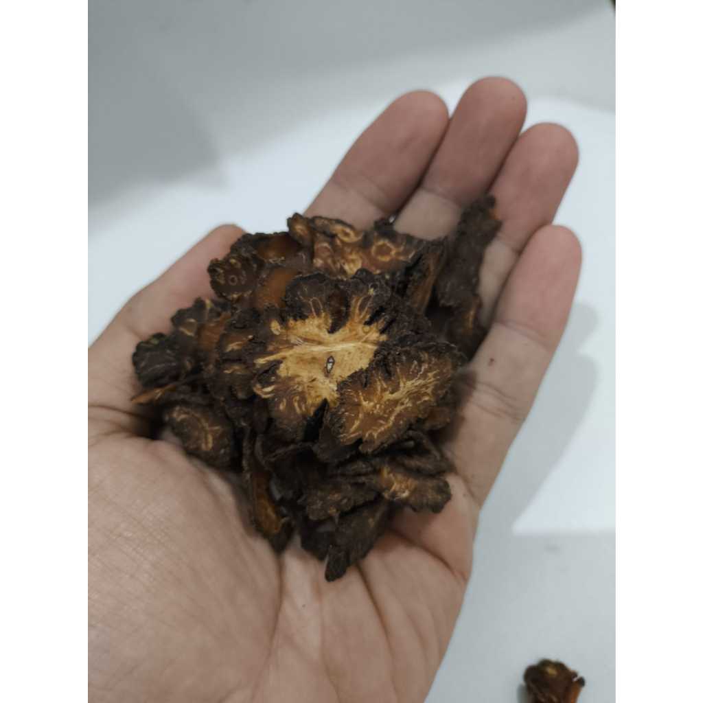 

Rempah Daung Geganti Ganti Kemasan 100gr 1ons
