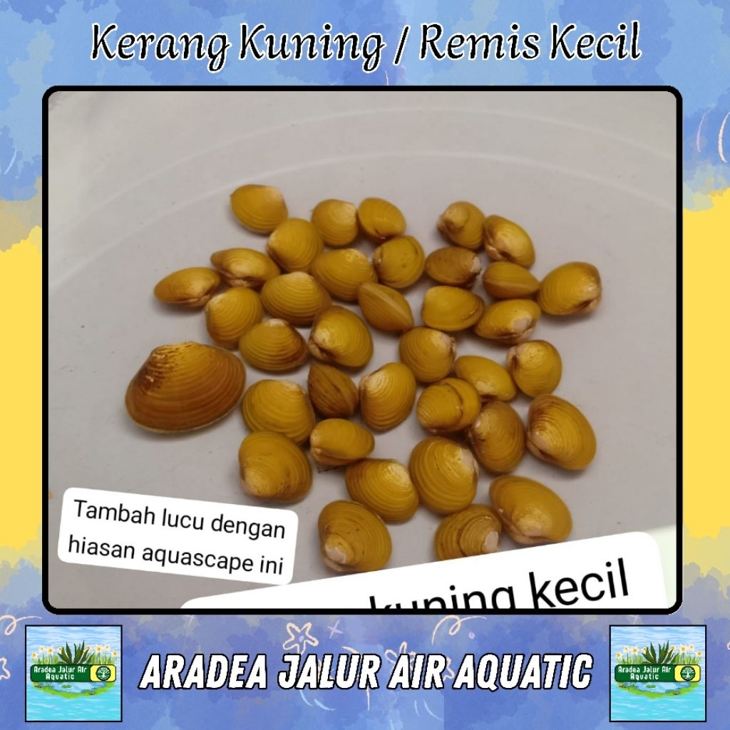 Filter Aquascape Remis Kecil + Bonus- Kebutuhan Akuarium
