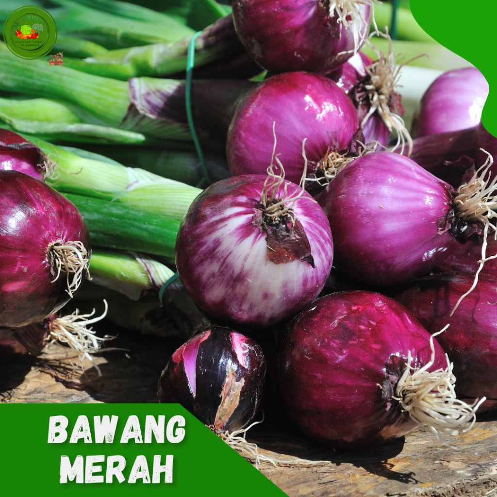 

Bawang Merah Lokal , Bawang Merah 1 kg , Bawang Merah Super" , Bawang Merah , red onion