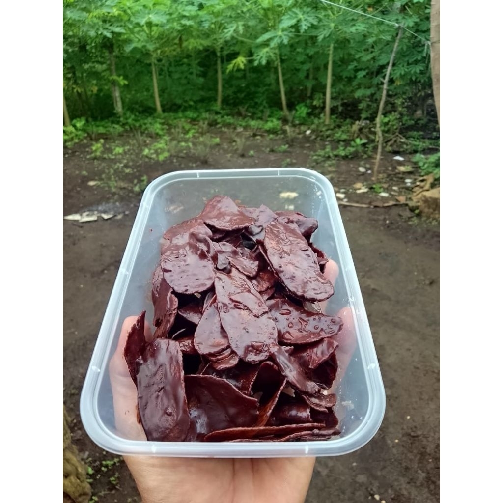 

KRIPIK PISANG COKELAT/KRIPIK PISANG COKELAT LUMER/KRIPIK PISANG CAP NANGKA 650ml