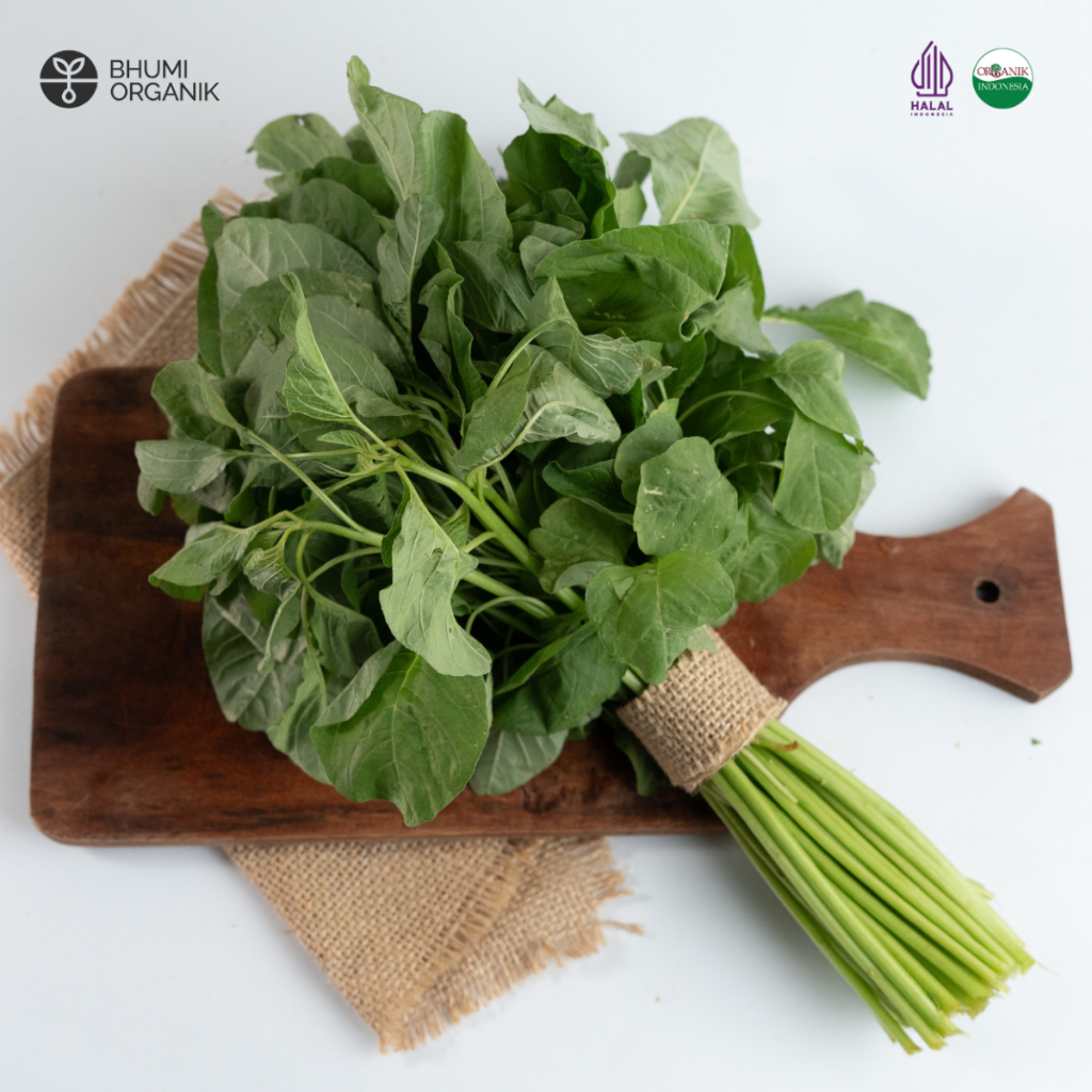 

Bayam Hijau Organik 250 gram - Ceritanik / Bhumi Organik - Spinach Organic - Sayur Organik Murah - Sayur Organik Sehat - Sayur Organik Premium