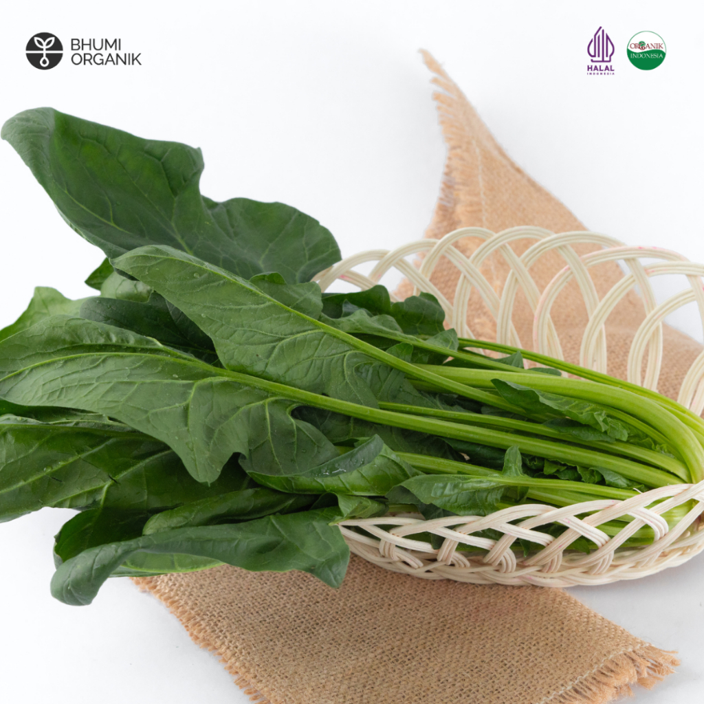 

Horenzo Organik 250 gram - Ceritanik / Bhumi Organik - Horenso Bayam Jepang Organik - Sayur Organik Murah - Sayur Organik Sehat - Sayur Organik Premium