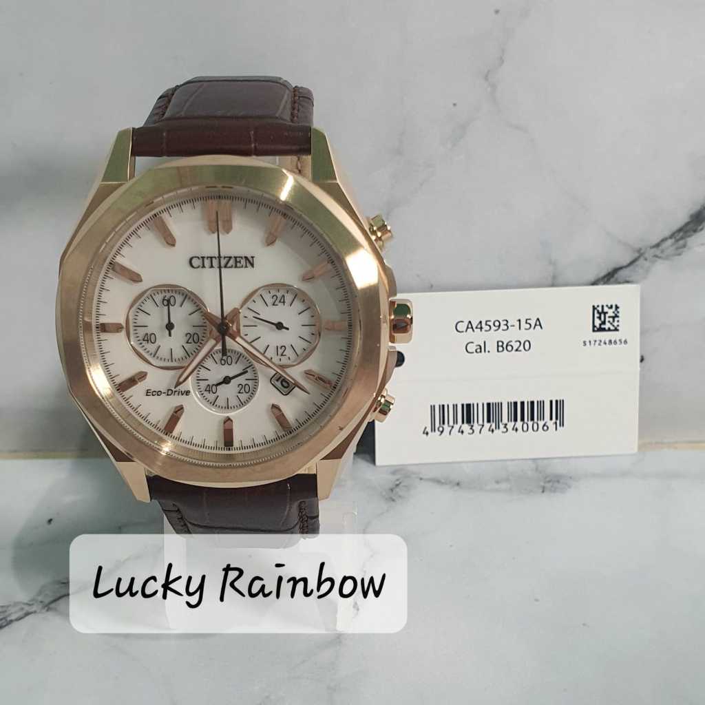 Jam Tangan Citizen Ecodrive CA4593-15A Original