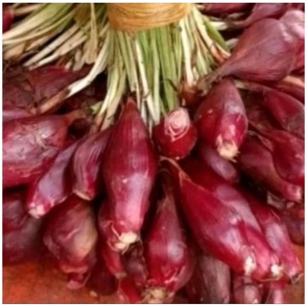 

bawang dayak/segar bersih per 500gram