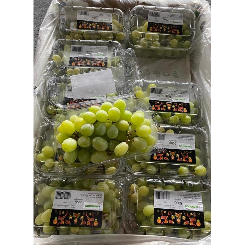 

Anggur hijau thomson tanpa biji 500 gr