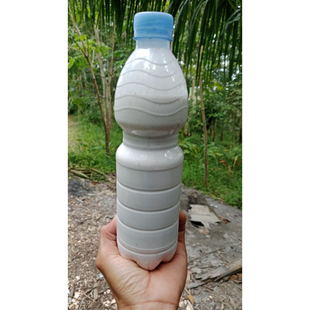 Getah Karet Cair/cocok untuk lem pulut burung/perekat busa kasur, COD