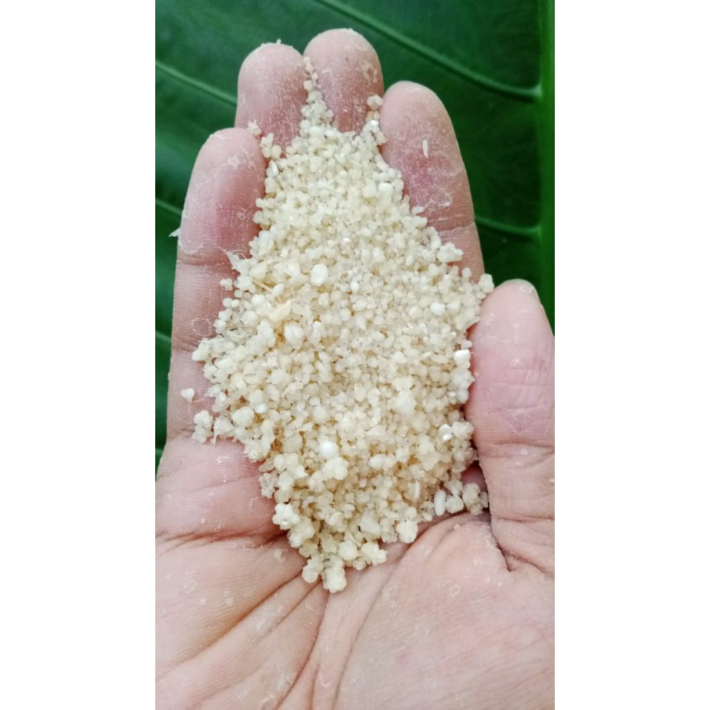 

Beras Singkong (Oyek/Tiwul/gari/Nasi aru) Natural
