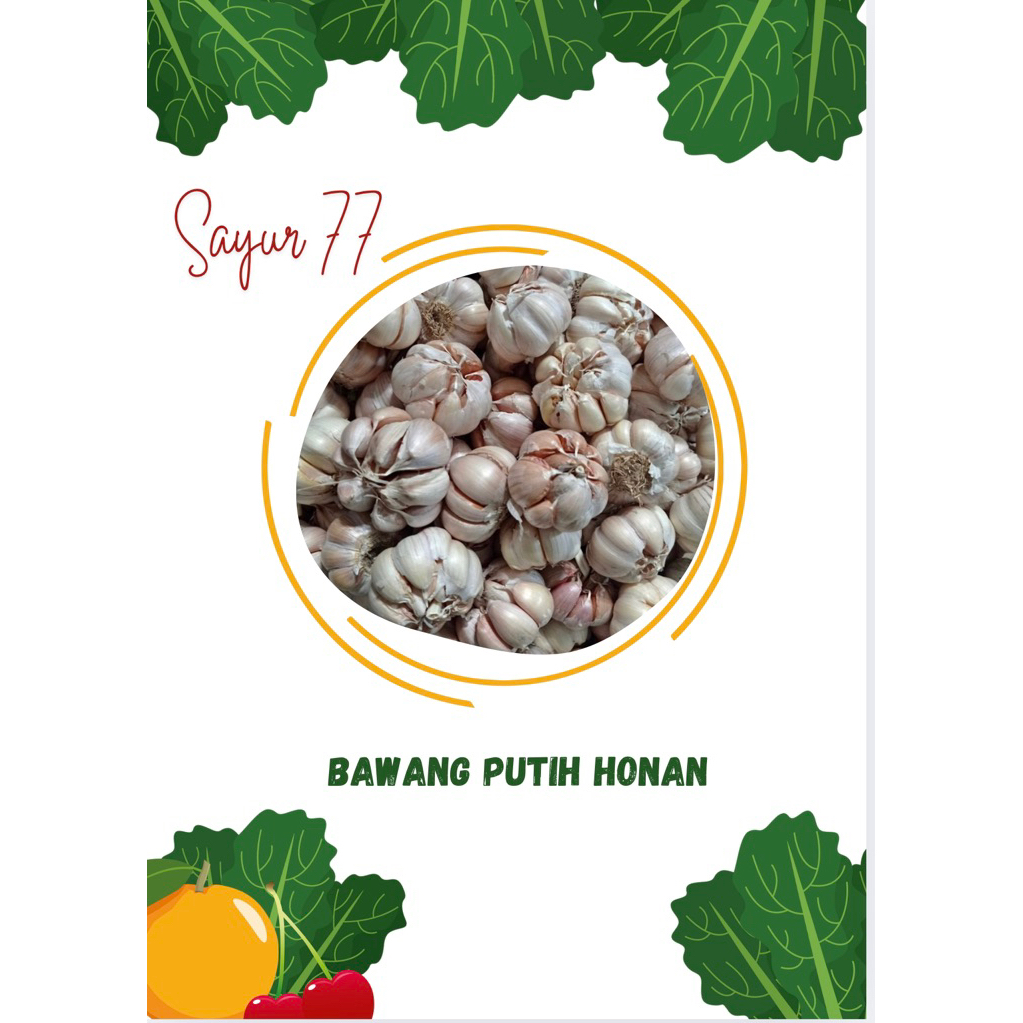 

Bawang Putih Honan