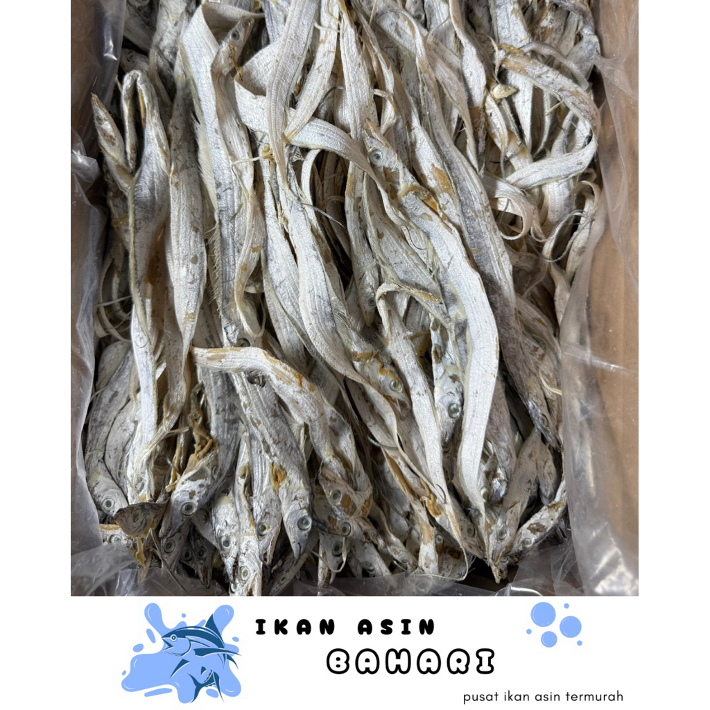 

1KG IKAN LAYUR ASIN KUALITAS PREMIUM DIJAMIN PALING MURAH - STOCK BARU-KIRIM SETENGAH KERING