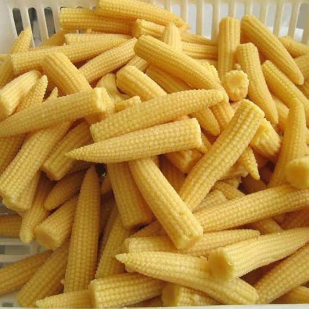 

Jagung Muda Baby Corn
