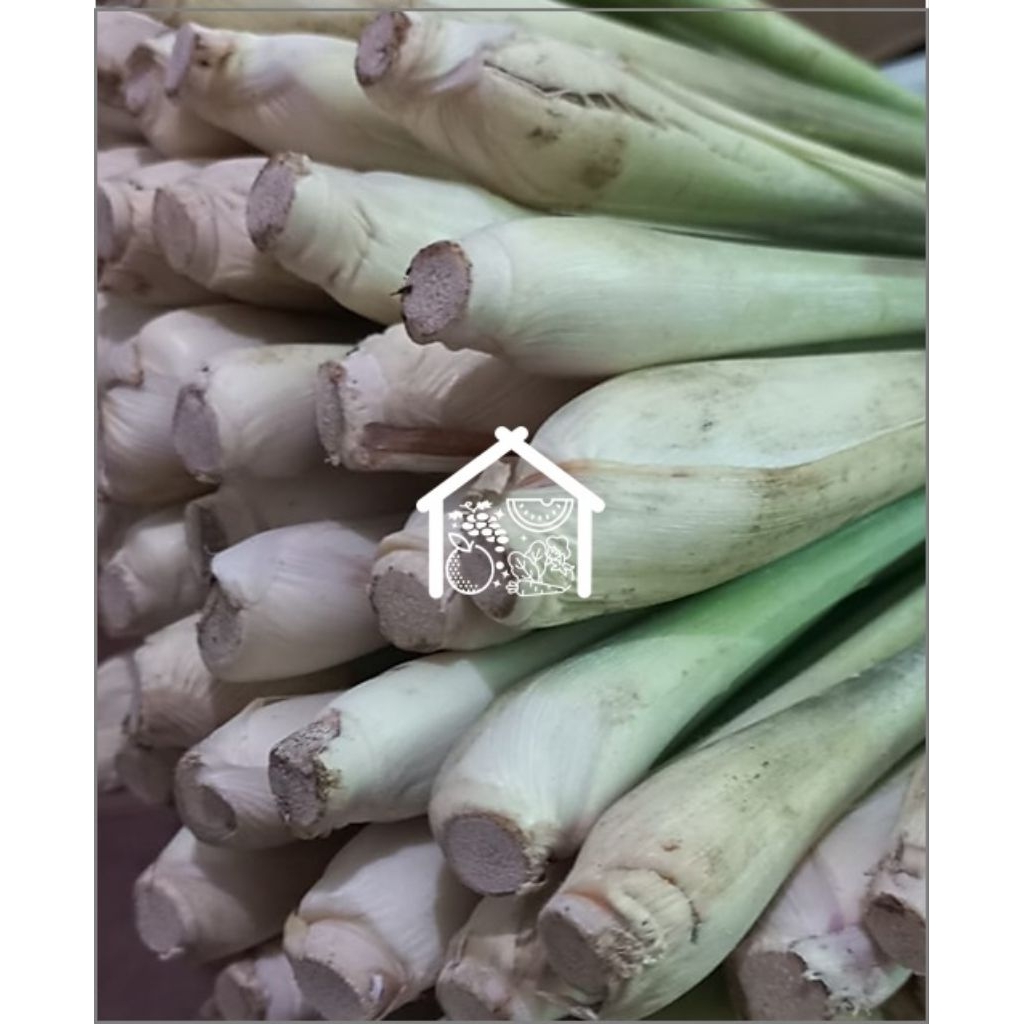 

Sereh 500 Gram Pilihan Hemat