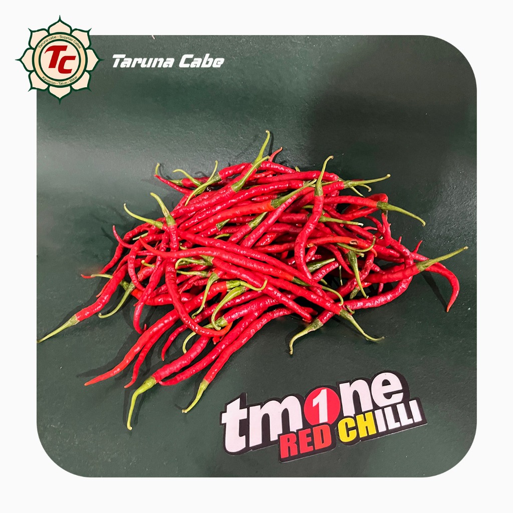 

Cabe keriting Blitar - Fresh dari petani