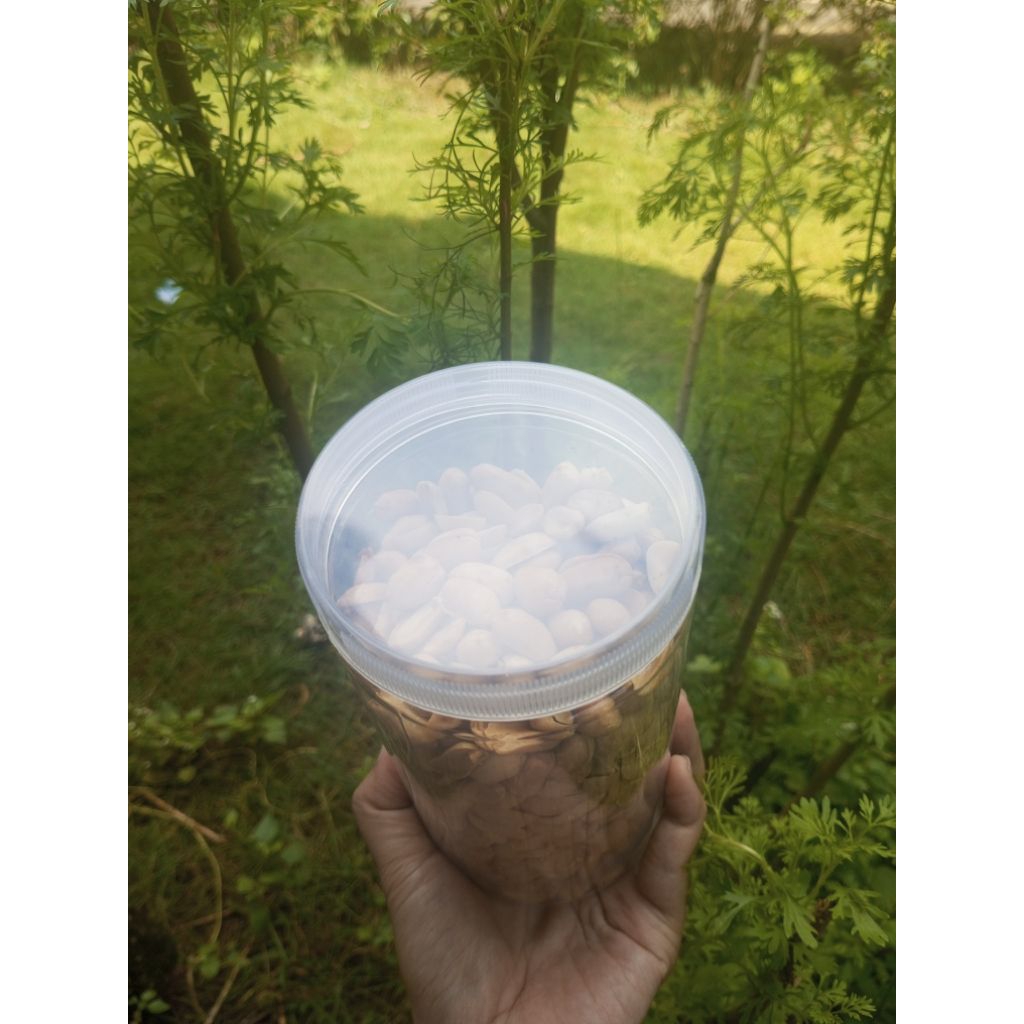 

DS kacang bawang/premium/gurih/renyah/super