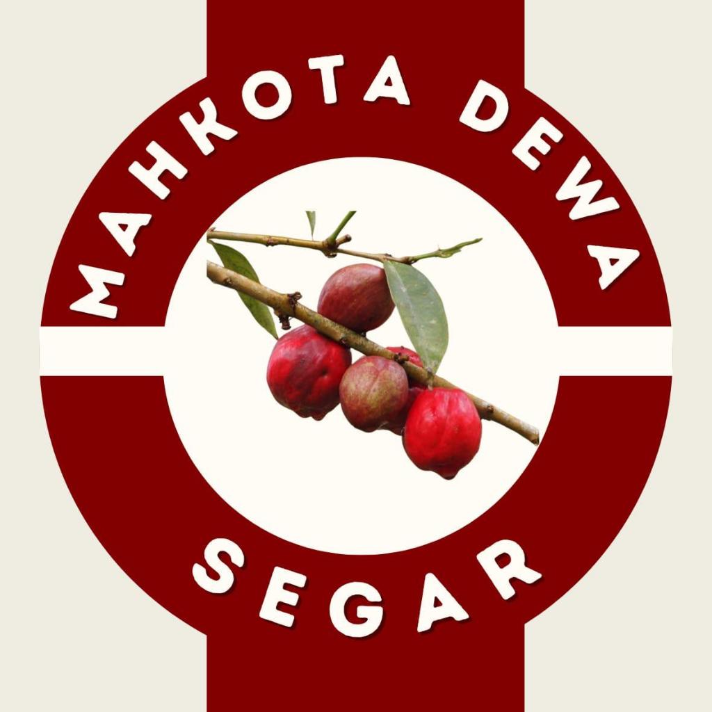 

buah mahkota dewa merah segar (tahan 7hari dijalan) 1 kg isi 30pcs