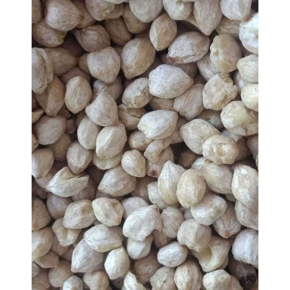 

KEMIRI KUPAS BULAT/UTUH BERKUALITAS 1KG - 5KG