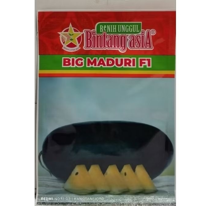 BENIH SEMANGKA BIG MADURI F1