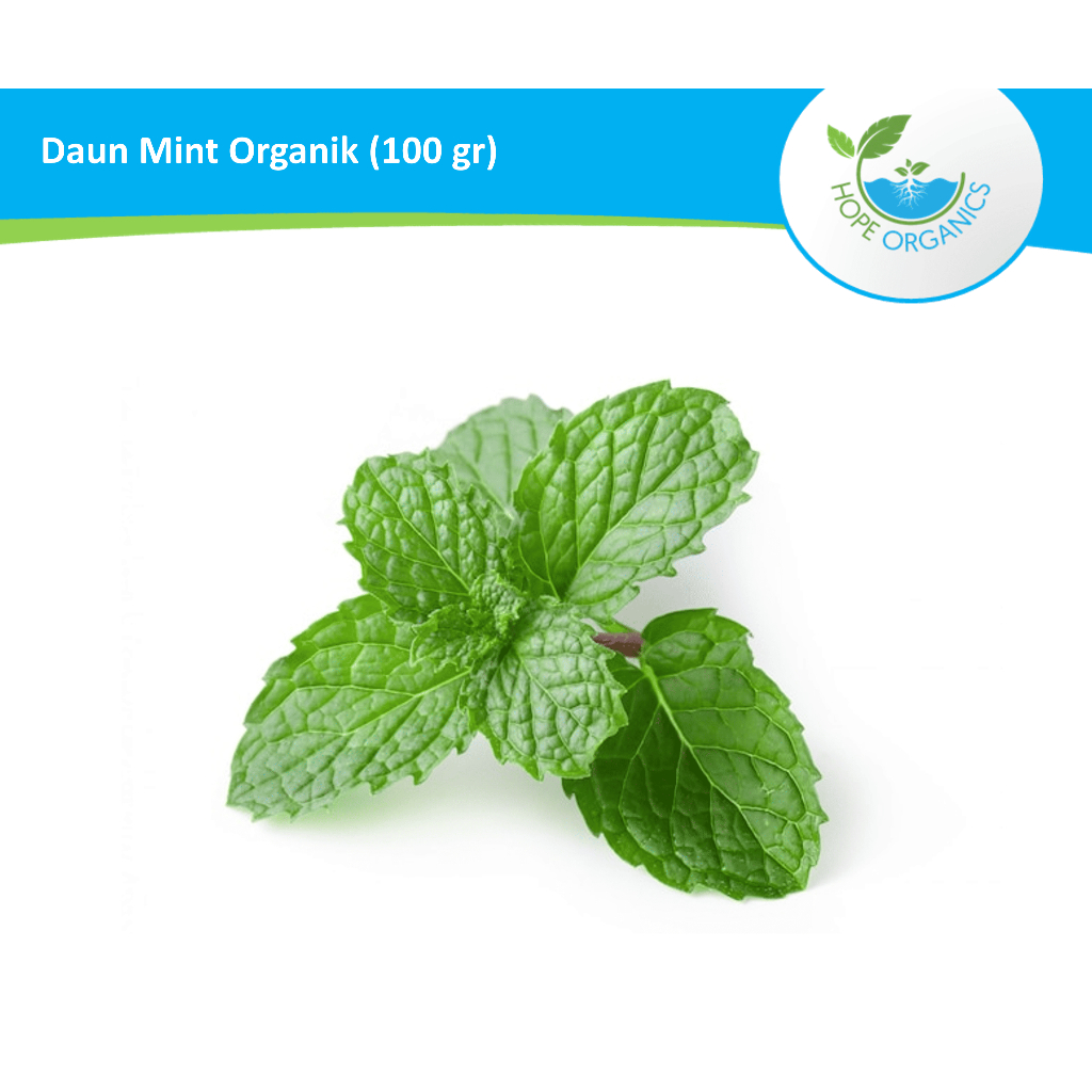 

Daun Mint Organik Segar 100 gr