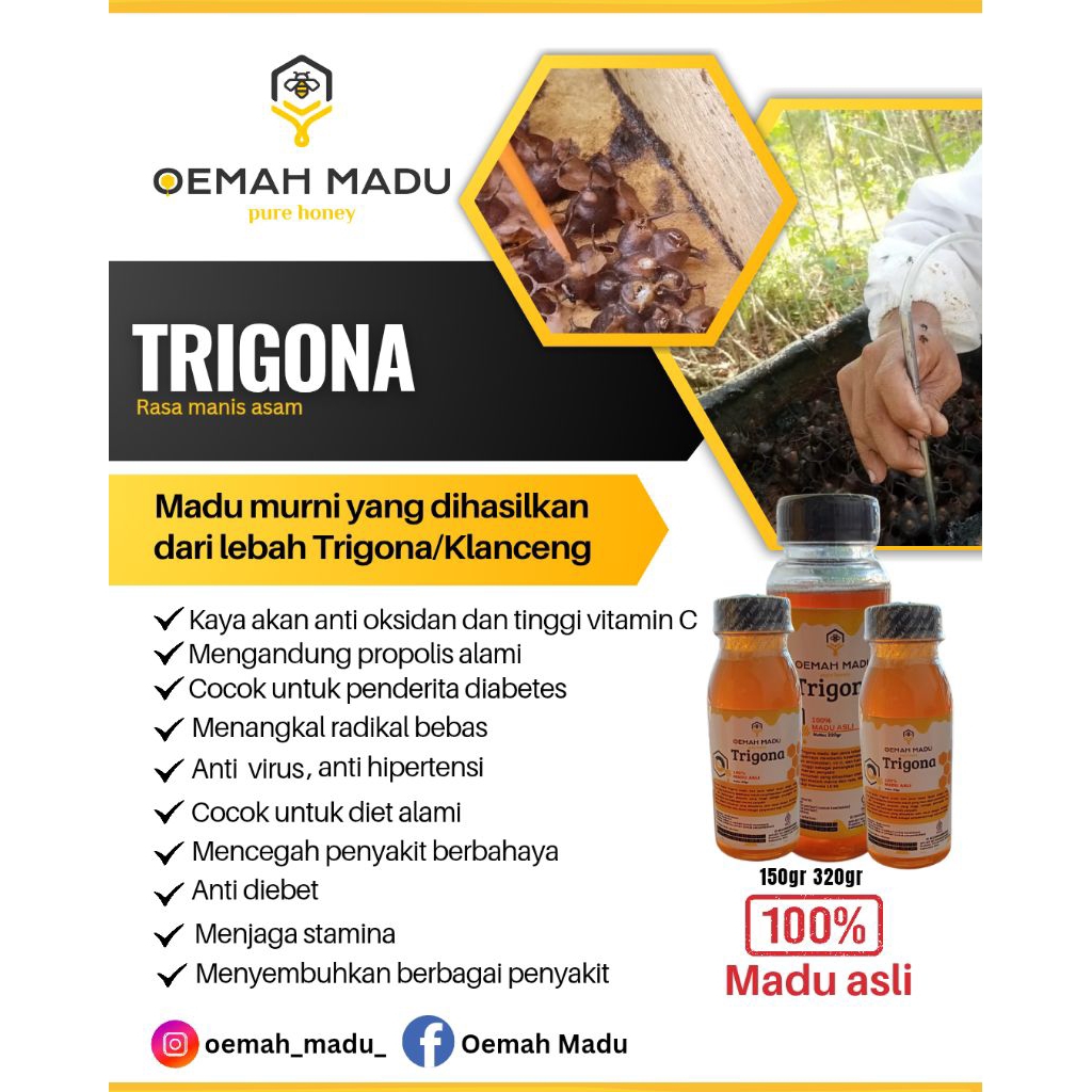 

Madu Trigona/klanceng
