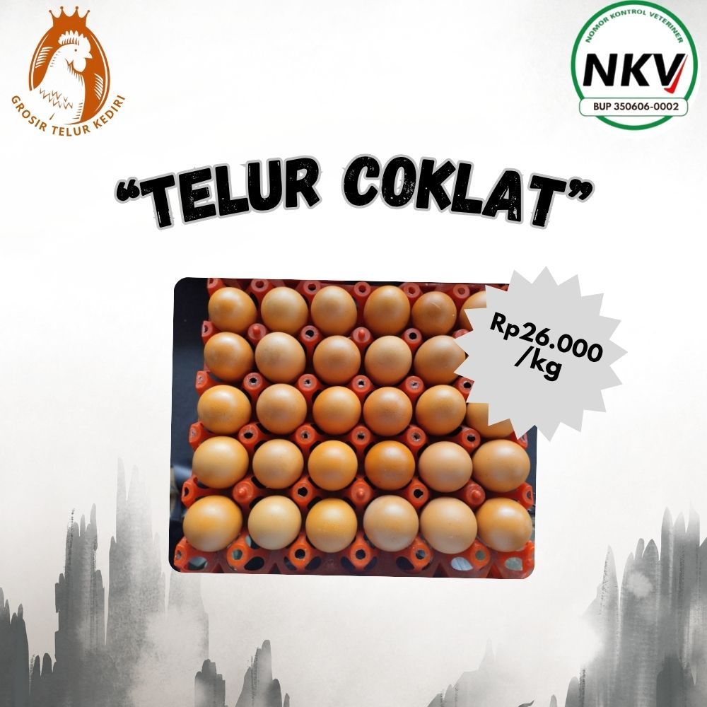 

NKV Telur Coklat | Telur Ayam Negeri | Telur ayam 1 kg | Fresh | | Supplier | Distributor