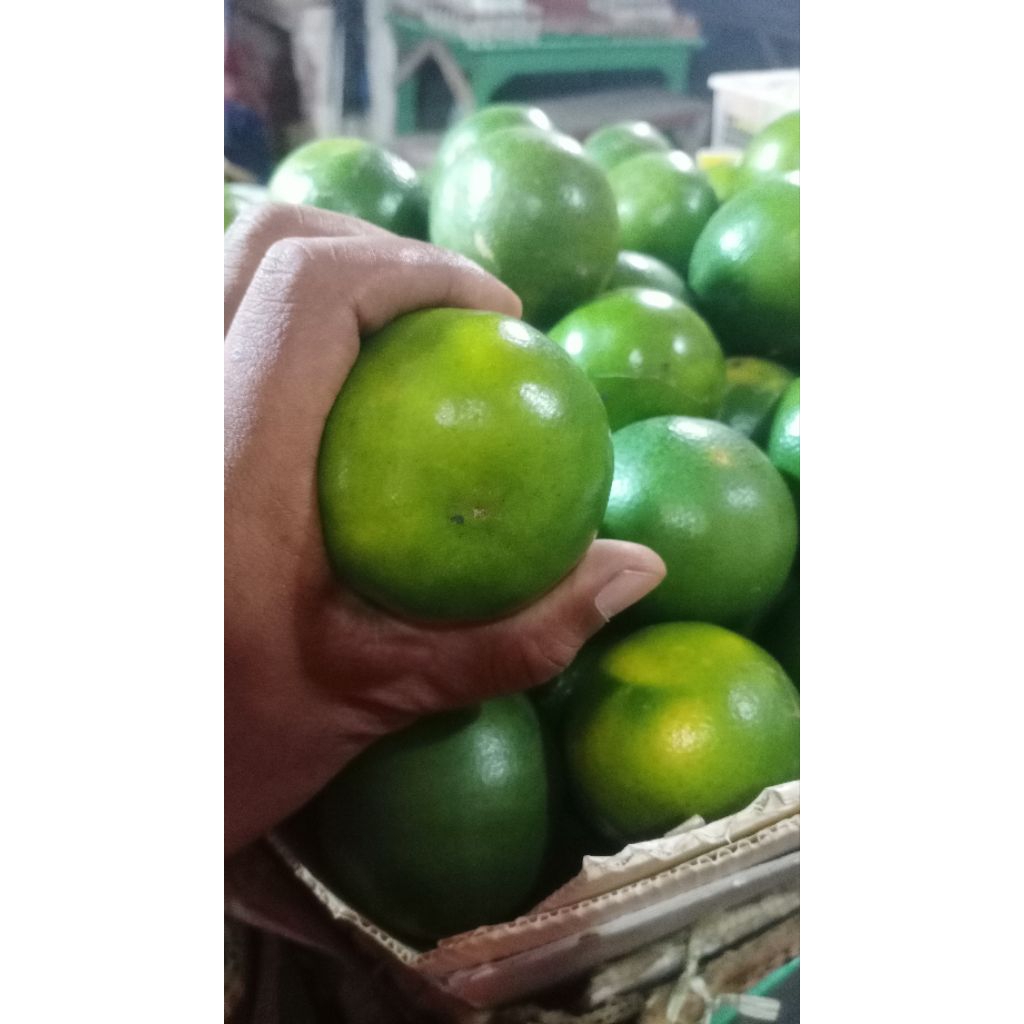 

jeruk peras fresh 1kg