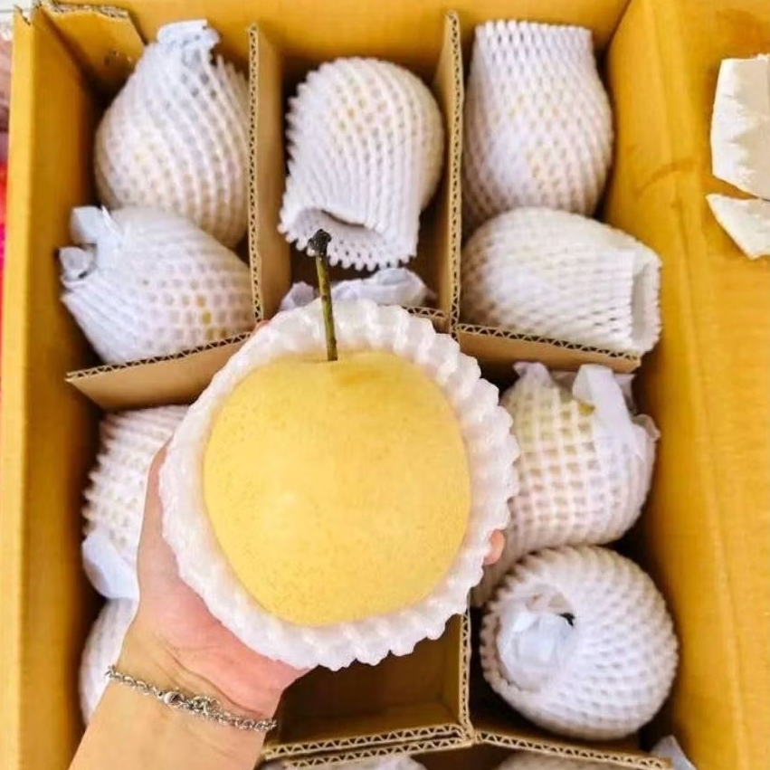 

PEAR MADU CENTURY 1kg