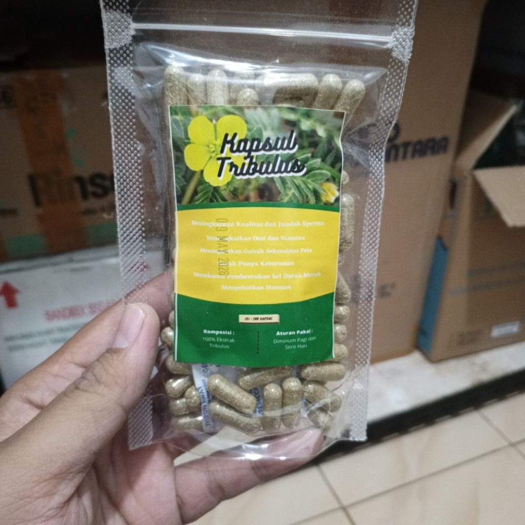 kapsul tribulus obat hormon dan obat pembantu punya keturunan isi 100
