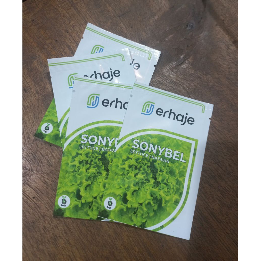 SONYBEL Naked - Benih Selada Batavia Bejo Seeds / Erhaje | 1 gram