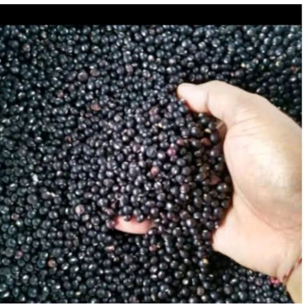 

Kacang gude Wonogiri kering 250 gram