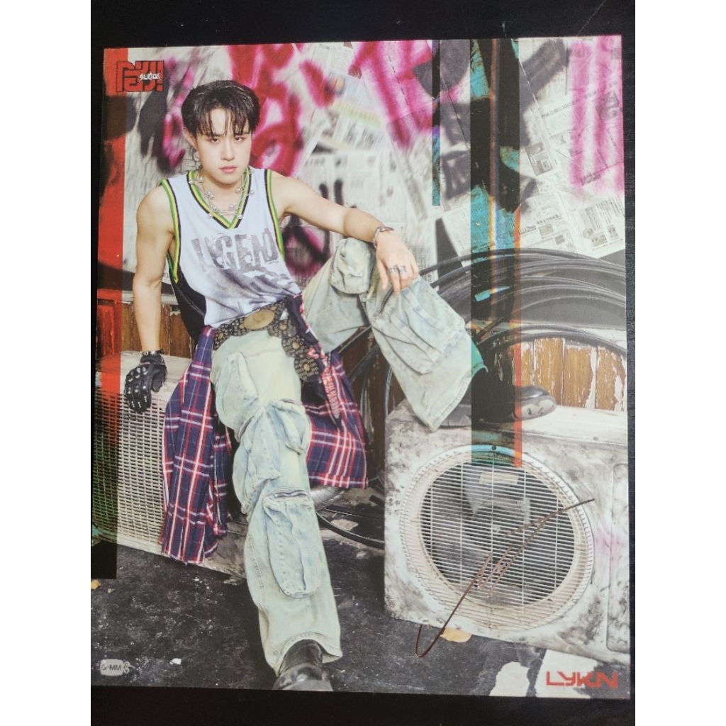 LYKN SUGOI Mini Poster / Big Postcard - NUT