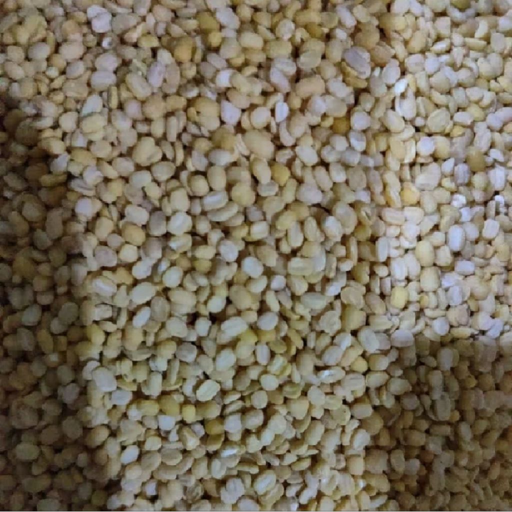 

bibit kacang hijau khas madura 5kg