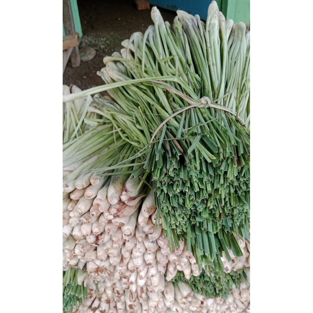 

sereh sayur segar 500 gram