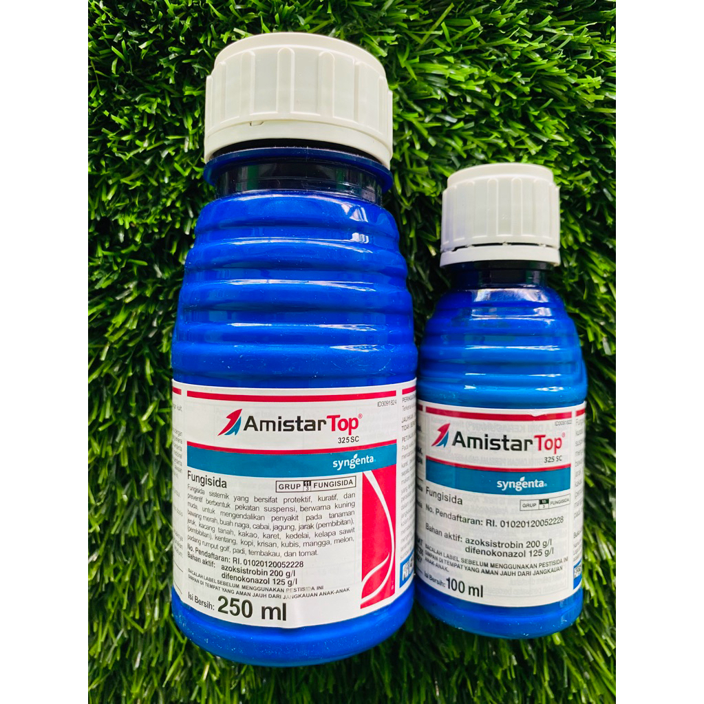 FUNGISIDA AMISTARTOP 325SC || obat jamur tanaman