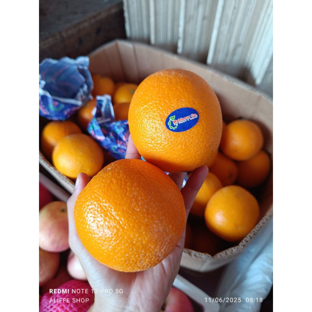 

1 KG Buah Jeruk Sunkist