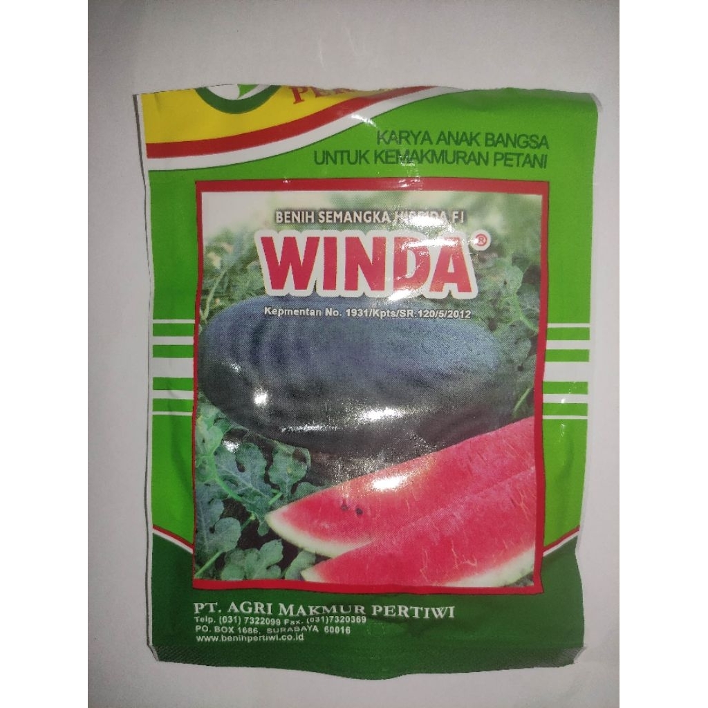 Benih Semangka WINDA Semangka Inul Hibrida Merah Benih Pertiwi