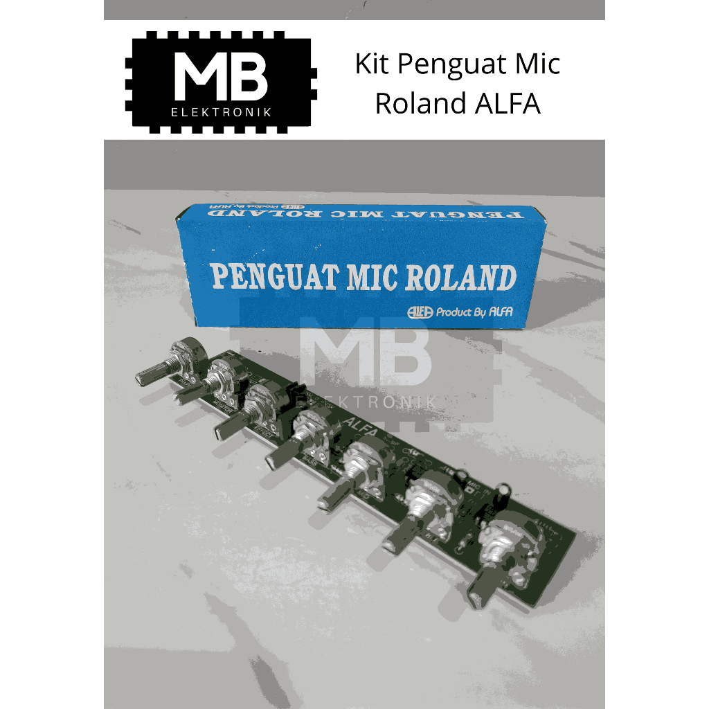 Kit Penguat Mic Roland ALFA