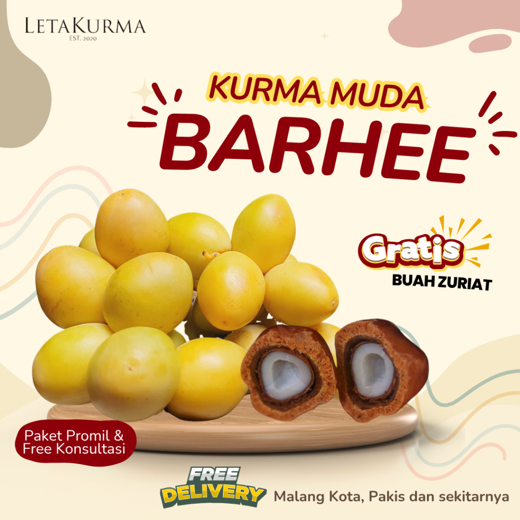 

READY !! KURMA MUDA BARHEE FRESH Free Zuriat | Kurma Promil & Kesehatan