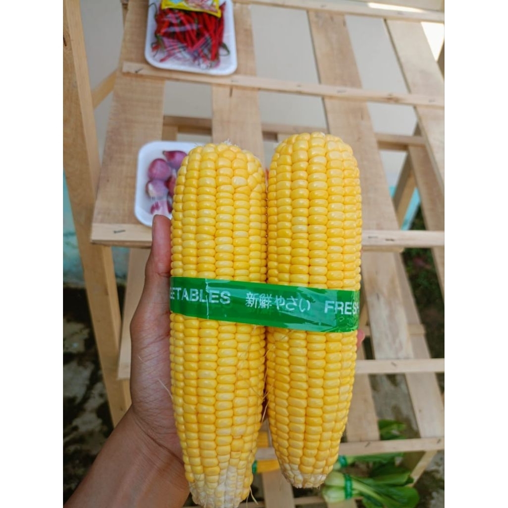 

jagung manis