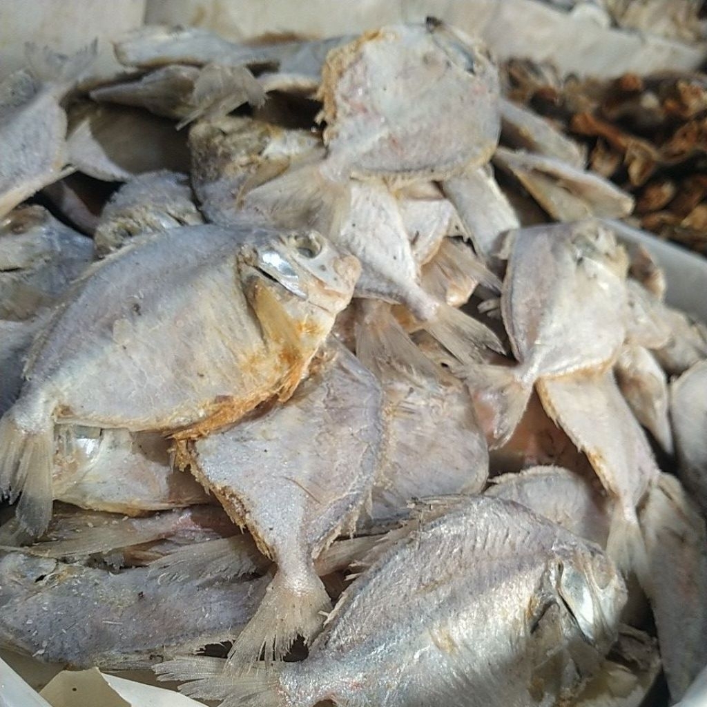 

ikan asin pepetek