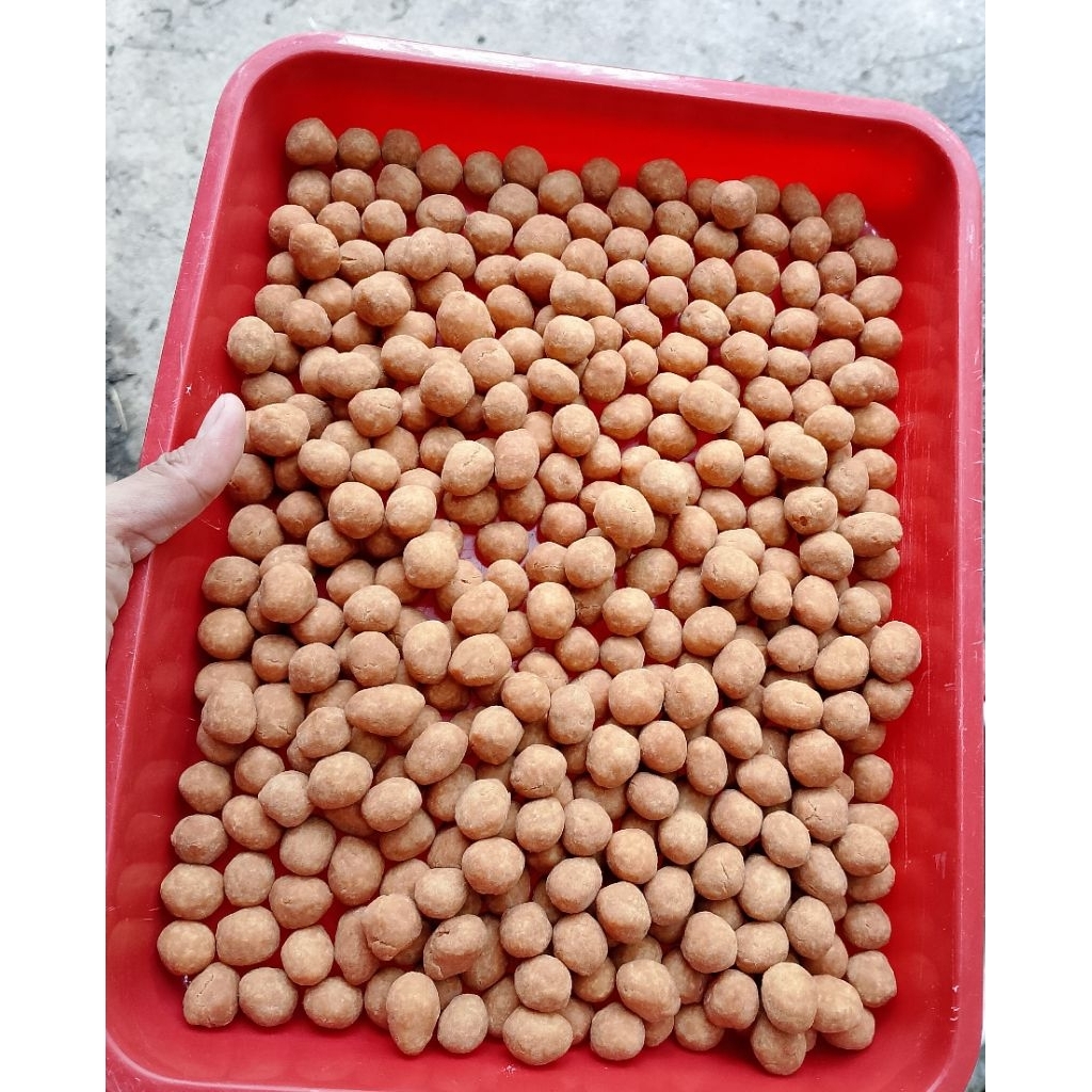 

Kacang Telor Jumbo 1Kg