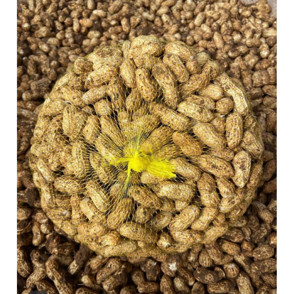 

Kacang Tanah Mentah Terbaik 1kg