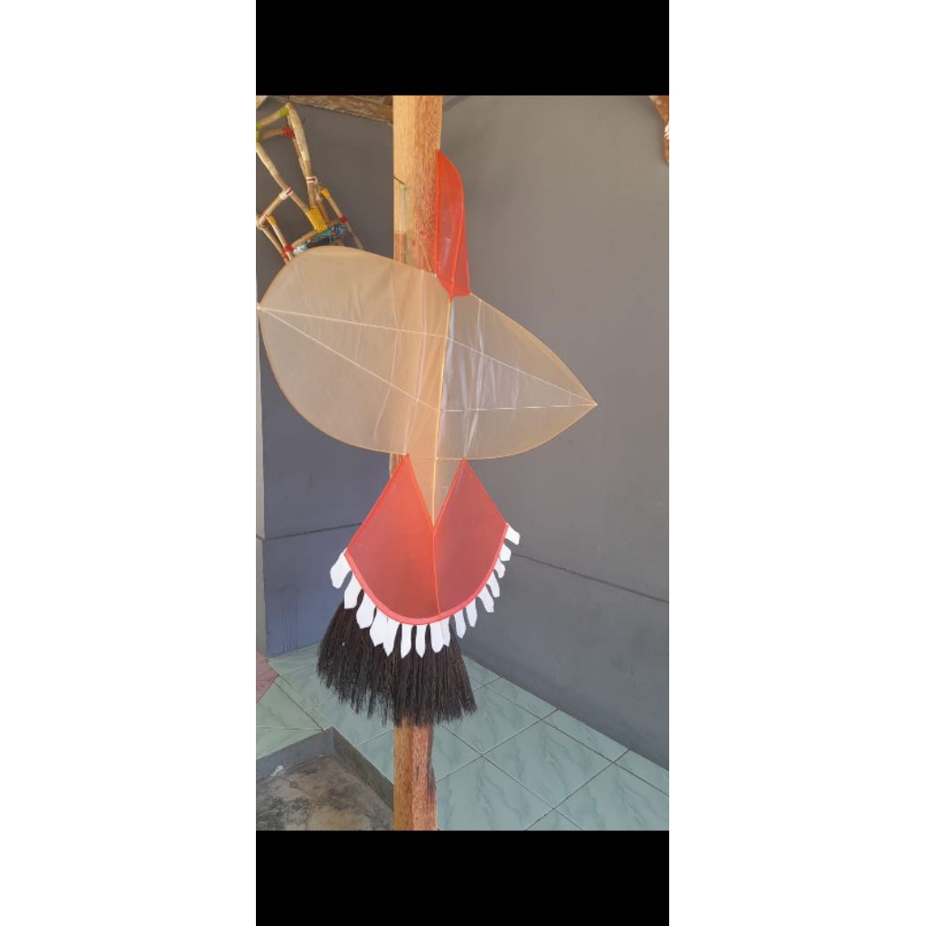 layang layang motif burung (buat lomba)