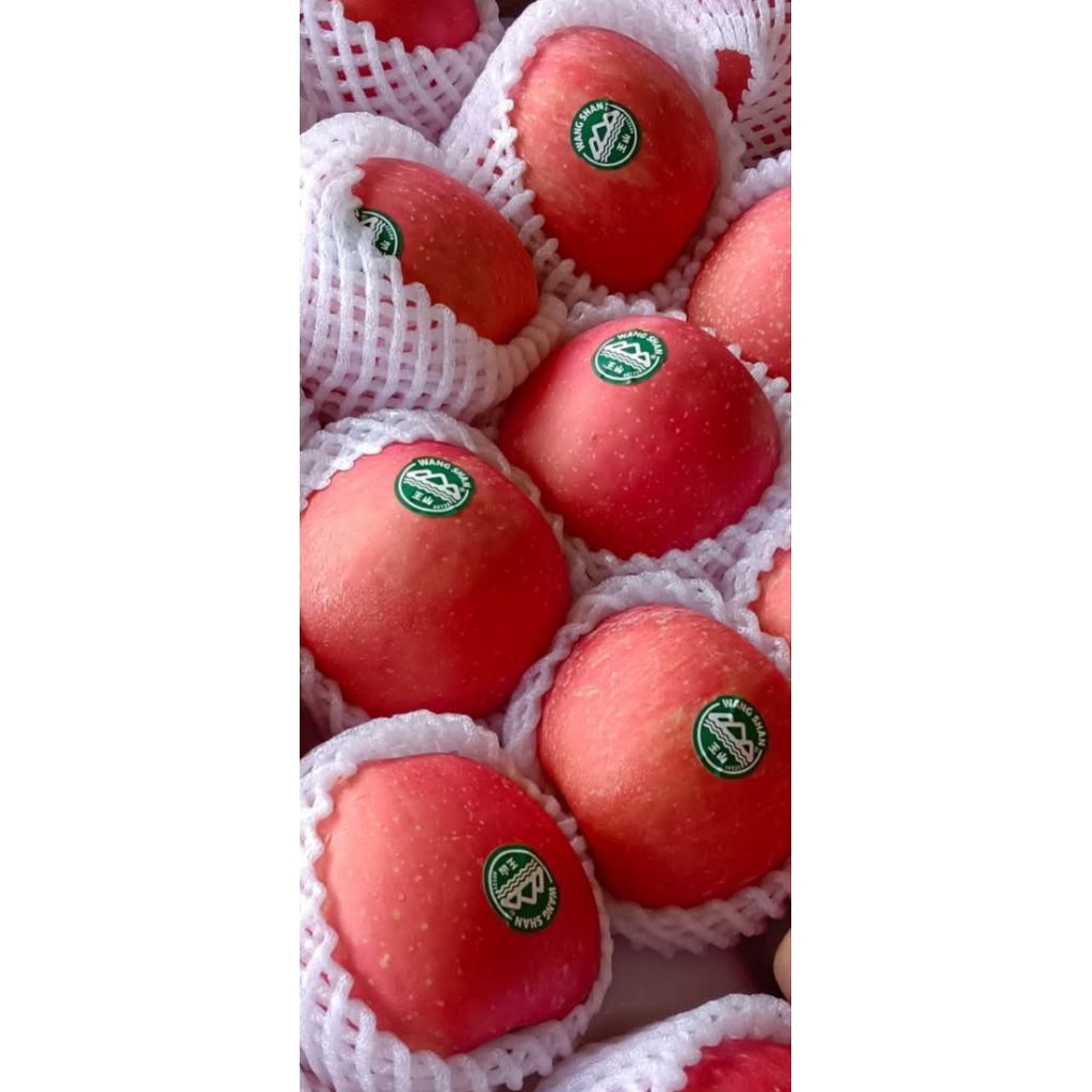 

Buah Apel Fuji Wang shan premium 1 kg