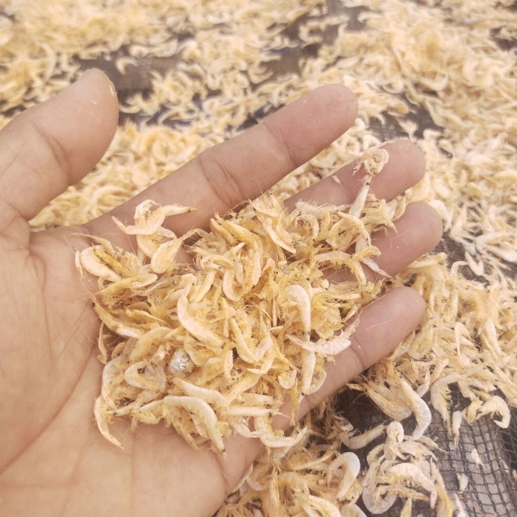 

Udang rebon asin murah 250 gram