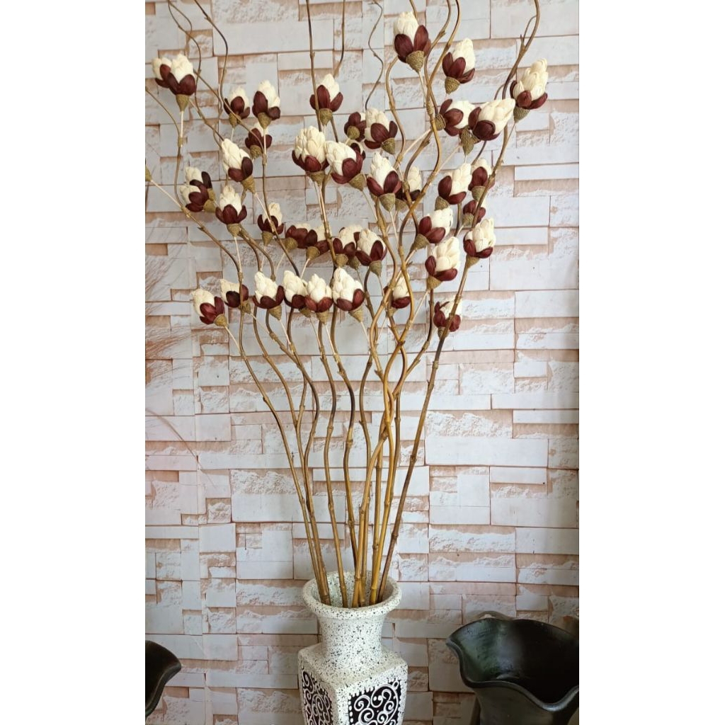 10 BATANG BAMBU ULIR NANAS KLOBOT